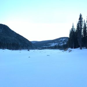 Meet your Posher, Adrian